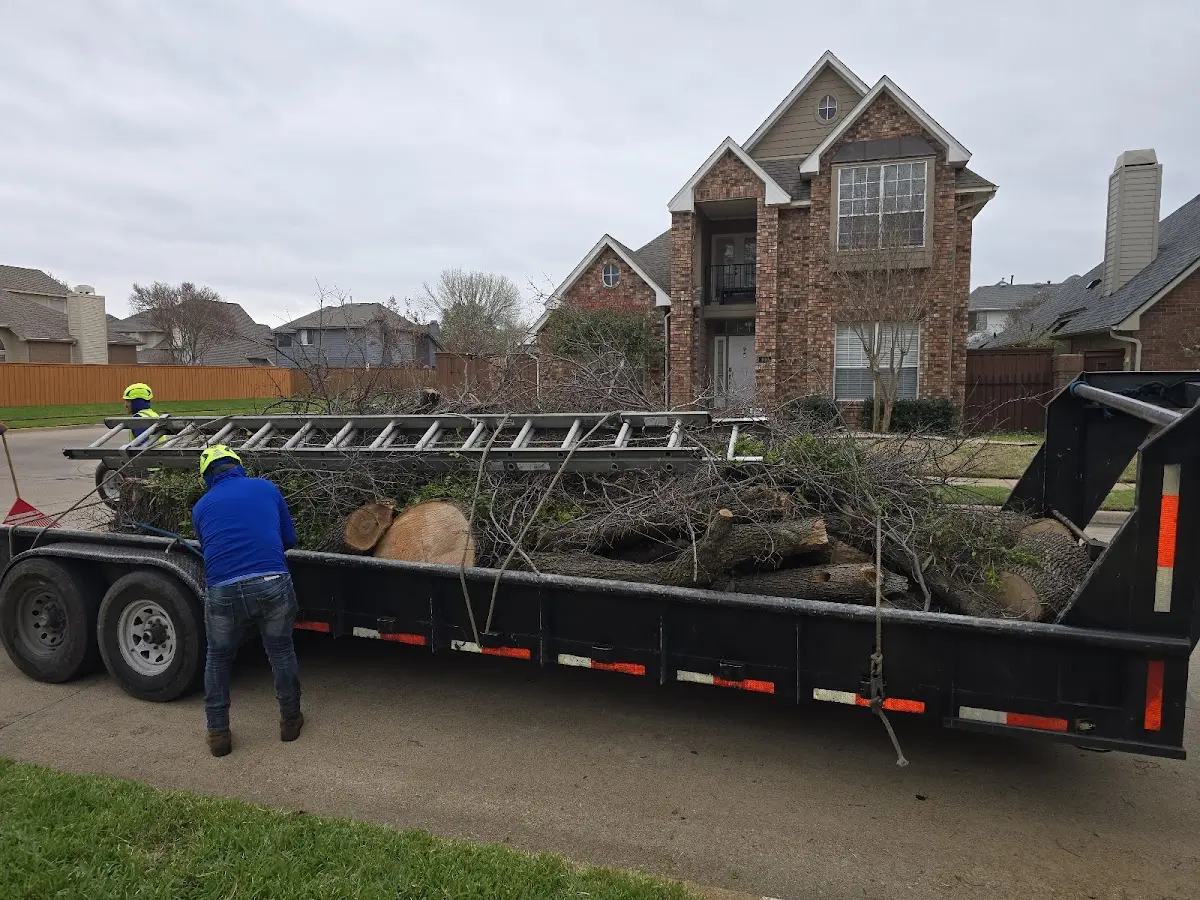 Expert Crown Reduction with proper safety equipment in Cayuga